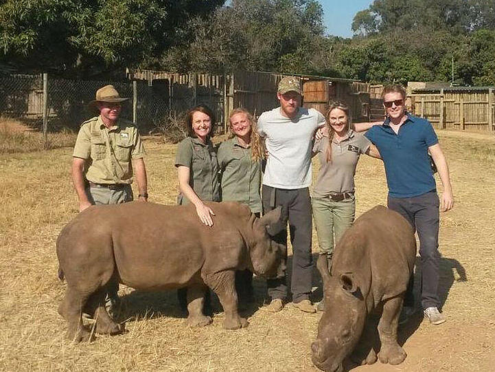 Uneitel mit Stoppelbart: Prinz Harry (im weißen Shirt) besuchte eine Wildtier-Auffangstation in Südafrika