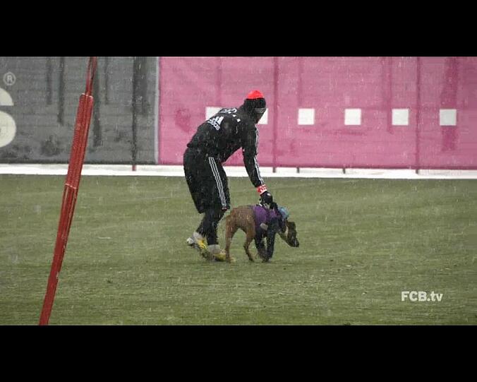 Bastian Schweinsteiger fängt die Hündin ein. Der Bayern-Star ist selbst Hundebesitzer.