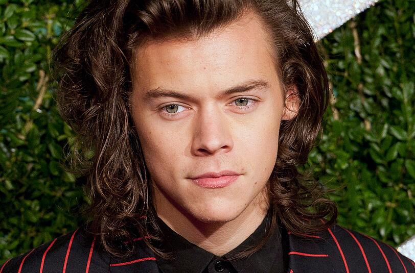 Harry Styles mag romantische kleine Häuser