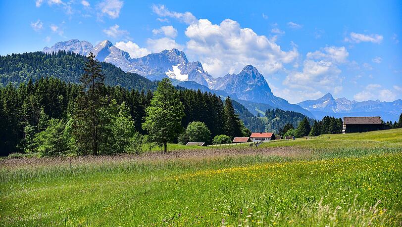 Hinter der Almwiese bei Garmisch türmen sich die Alpspitze (2.628 m), die Zugspitze (2.962 m) und der Waxenstein (2.277) auf.