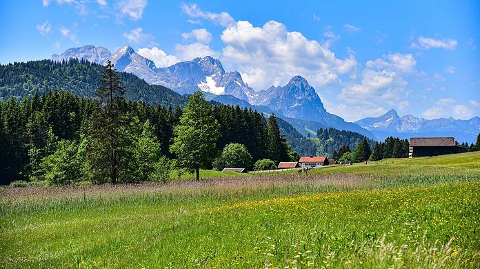 Hinter der Almwiese bei Garmisch türmen sich die Alpspitze (2.628 m), die Zugspitze (2.962 m) und der Waxenstein (2.277) auf.