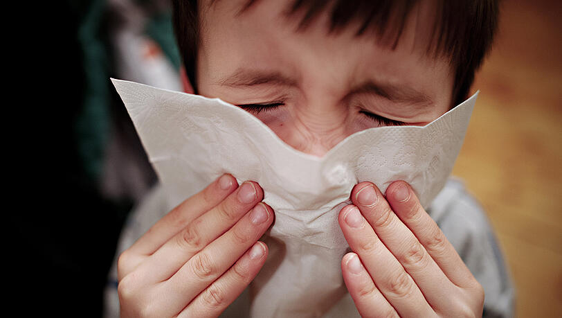 Aktuell geht das Influenza-Virus in Bayern um. Aktuell geht das Influenza-Virus in Bayern um.