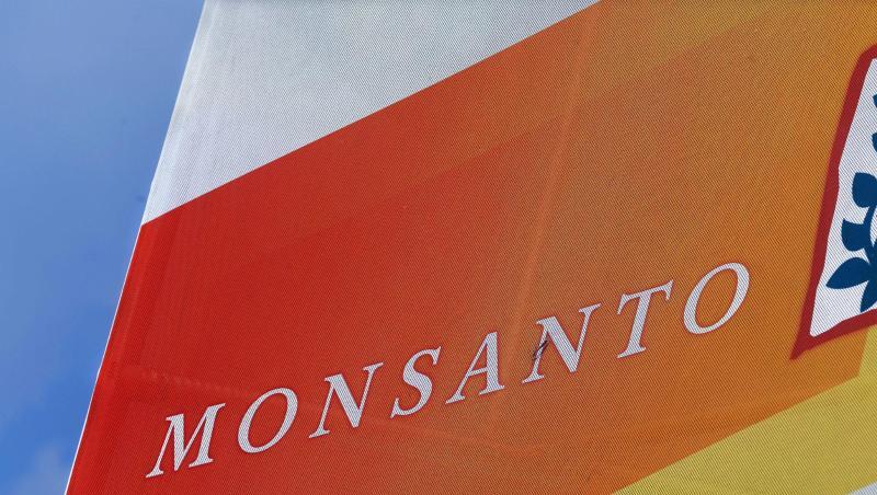 Monsanto muss sich in den USA wegen angeblicher Krebsrisiken des Unkrautvernichters Roundup mit dem Wirkstoff Glyphosat verantworten. Monsanto muss sich in den USA wegen angeblicher Krebsrisiken des Unkrautvernichters Roundup mit dem Wirkstoff Glyphosat verantworten.