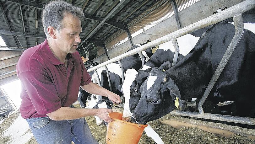 Absurdes Recycling im Kuhstall: Ein Landwirt verfüttert Milch an seine Tiere, weil sich die Vermarktung für ihn nicht mehr lohnt. Foto: dpa Absurdes Recycling im Kuhstall: Ein Landwirt verfüttert Milch an seine Tiere, weil sich die Vermarktung für ihn nicht mehr lohnt. Foto: dpa