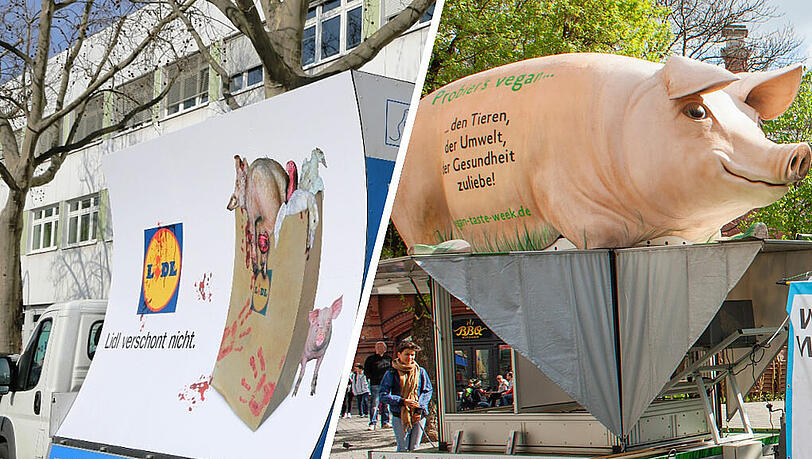 Plakatwagen und GrunzMobil: In den nächsten Tagen gibt es mehrere Tierschutz-Proteste in München. Plakatwagen und GrunzMobil: In den nächsten Tagen gibt es mehrere Tierschutz-Proteste in München.