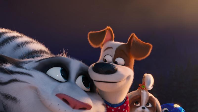 Hu, Max, Daisy und Snowball erleben in "Pets 2" aufregende Abenteuer. Hu, Max, Daisy und Snowball erleben in "Pets 2" aufregende Abenteuer.