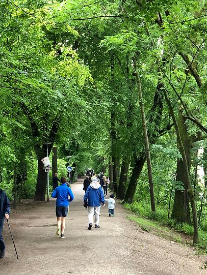 Auf dem Damm oberhalb des Isarradweges ist es sicherer.