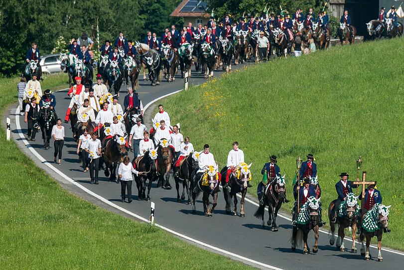 Die Prozession mit rund 900 Reitern zählt zu den ältesten bayerischen Brauchtumsveranstaltungen. Bei dem Bittgang im Sattel von prächtig geschmückten Pferden pilgern die "Mannerleut" von Kötzting zur rund sieben Kilometer entfernten Nikolauskirche in Steinbühl. Die Bilder!