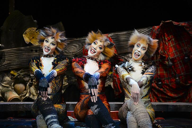 "Cats" im Deutschen Theater.