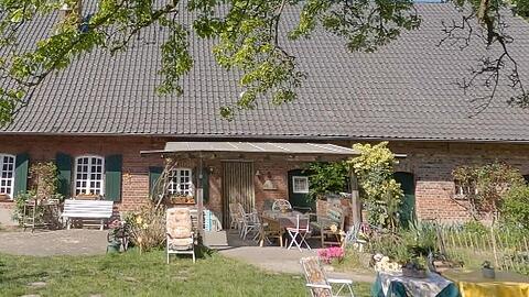 Ist es im "Sommerhaus der Stars" erneut zu einer körperlichen Auseinandersetzung gekommen?