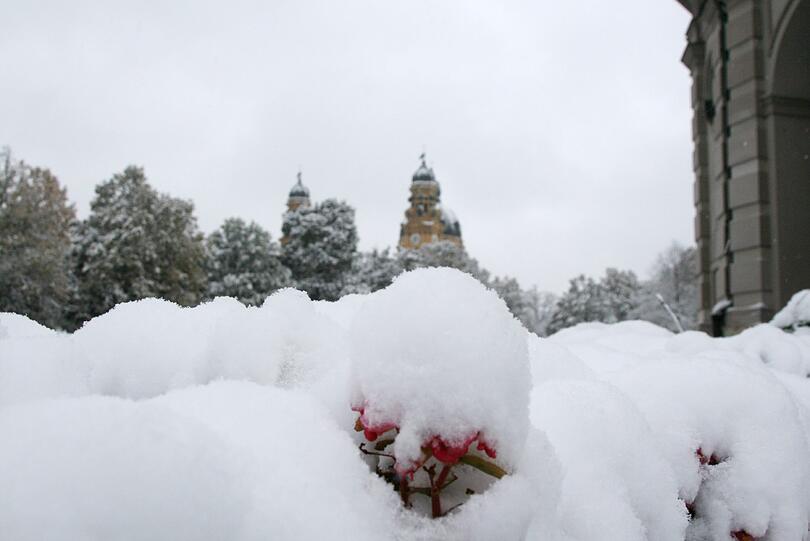Wintereinbruch Ende Oktober. In München liegt der erste Schnee. Bilder vom Hofgarten und aus dem Englischen Garten.