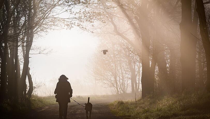 Hunde m&uuml;ssen k&uuml;nftig registriert und gechippt sein. Privatleute haben aber einige Jahre Zeit daf&uuml;r. (Symbolbild)