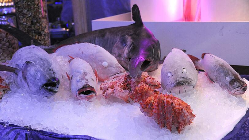 Unter anderem gab's exotischen Fisch auf dem Gastronomenball.