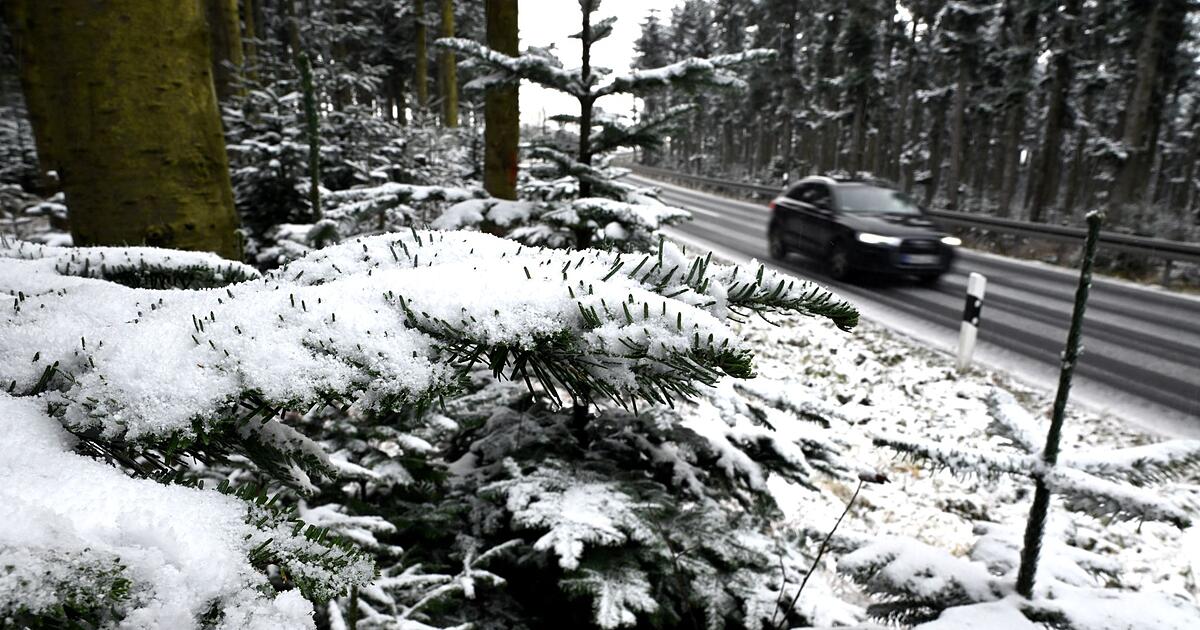 Schneefall-in-Mittelgebirgen-und-Alpen