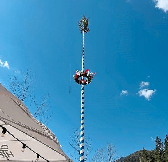 Zu guter Letzt stand der Maibaum dann doch. Zu guter Letzt stand der Maibaum dann doch.