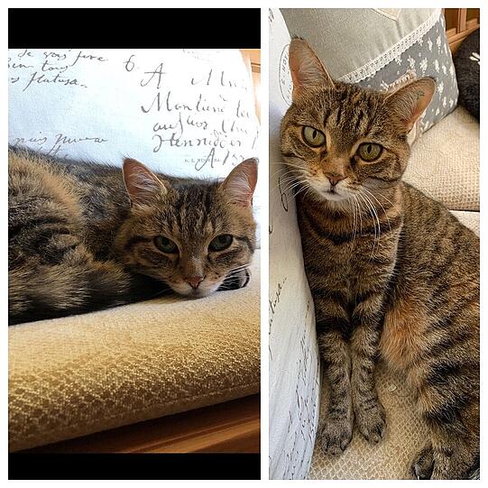Lucky & Luna