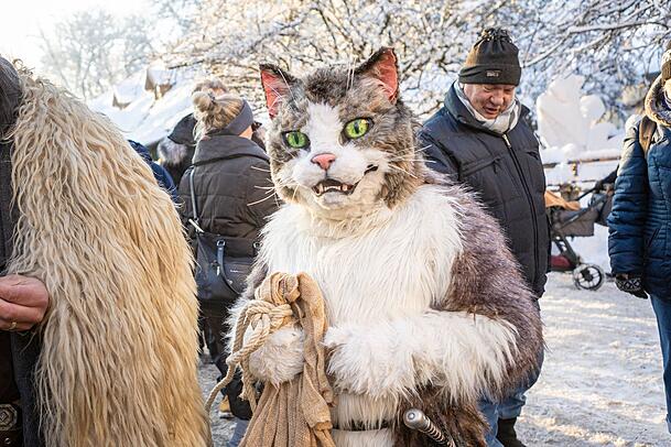 Der gestiefelte Kater ist auf dem Gelände des Kaltenberger Weihnachtsmarktes unterwegs. Der gestiefelte Kater ist auf dem Gelände des Kaltenberger Weihnachtsmarktes unterwegs.