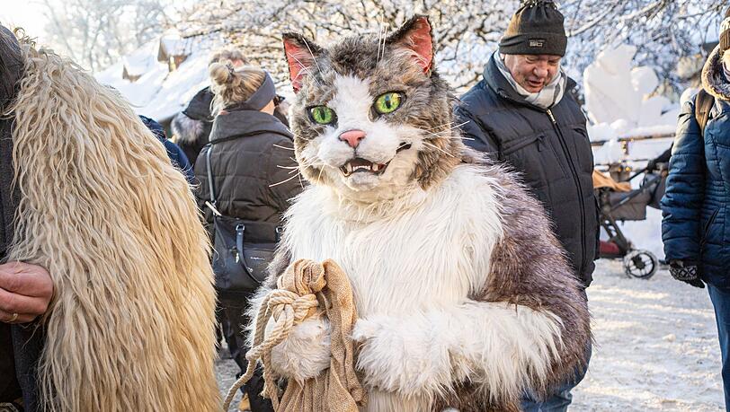 Der gestiefelte Kater ist auf dem Gelände des Kaltenberger Weihnachtsmarktes unterwegs. Der gestiefelte Kater ist auf dem Gelände des Kaltenberger Weihnachtsmarktes unterwegs.