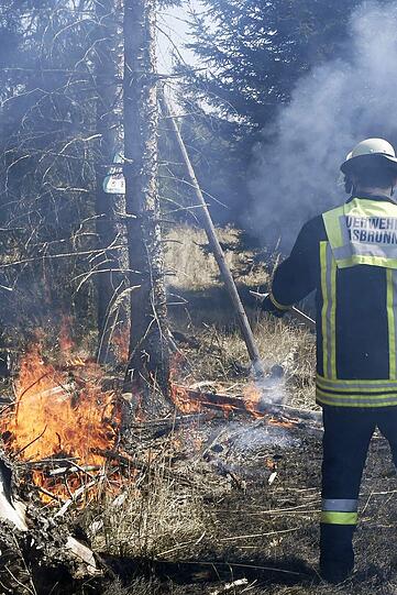 Insgesamt brannte fast ein Hektar frisch aufgeforsteter Wald. Die Feuerwehr musste das Wasser zur Einsatzstelle transportieren...
