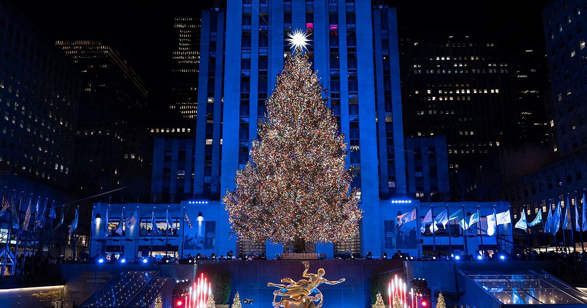 Beeindruckende-Weihnachtsb-ume-aus-aller-Welt