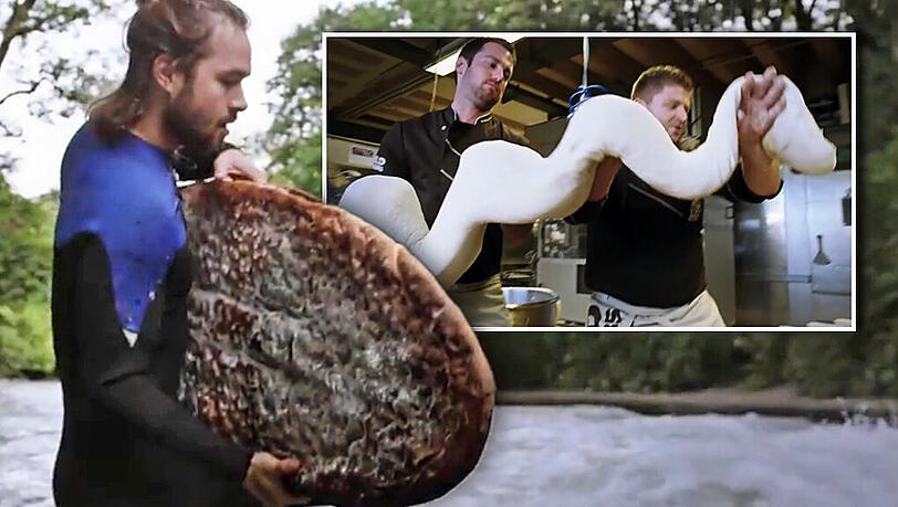 Mit einem Brot in die Eisbachwelle? Der Münchner Surfer Simon Strangfeld hat einen Ritt mit dem gebackenen "Surfbread" gewagt.
