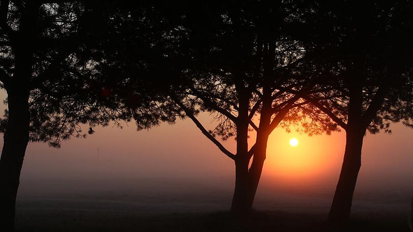 Fast schon mystisch: Der Blick auf die Panzerwiese bei Sonnenaufgang und Nebel.