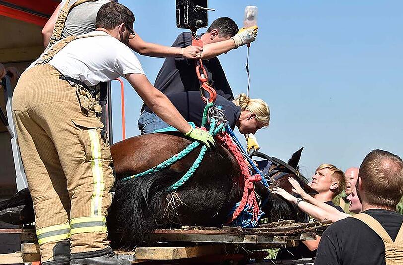 Das Pferd wurde erst ruhig gestellt und dann mittels Seilwinde gerettet.