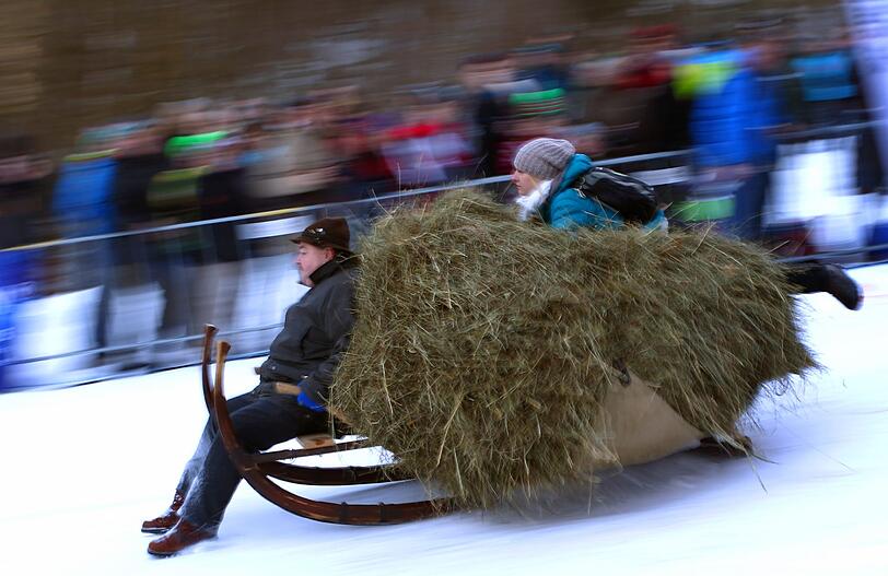 Teilnehmerinnen des traditionellen Hornschlittenrennes fahren in Garmisch-Partenkirchen die Piste hinab.