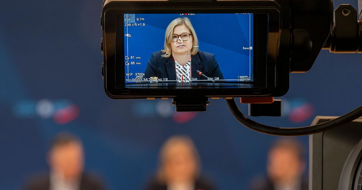 AfD: Nur Menschen einbürgern, die dem Staat nützlich sind