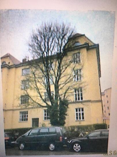 Der Ahorn, als er noch stand. Auch ohne Laub ein prächtiger Baum.