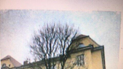 Der Ahorn, als er noch stand. Auch ohne Laub ein prächtiger Baum.