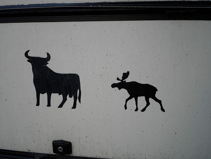 Nein, es sind nicht diese Symbole für sehr südliche und sehr nördliche Reiseziele.