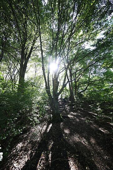 Ein schöner Park - hier mit Lichtspielen am Berg.