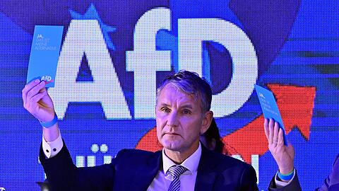 Den Thüringer AfD-Landesverband, dessen Chef Björn Höcke ist, stuft der Verfassungsschutz als gesichert rechtsextrem ein.