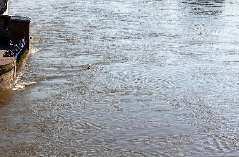 In Magdeburg hat sich die Hochwasserlage an der Elbe weiter zugespitzt.