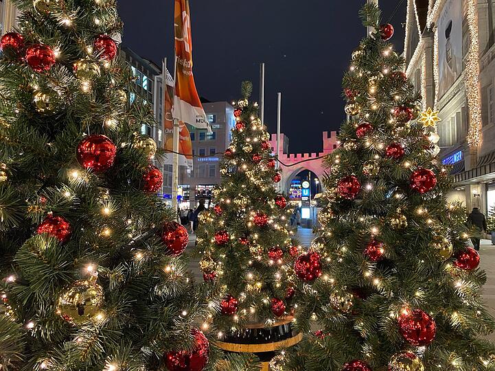 Ein Christbaumwald vor dem rosa angestrahlten Karlstor? Nein, nur ein kleines Baumgrüppchen in hölzernen Bierfassln. Trotzdem schön. Ein Christbaumwald vor dem rosa angestrahlten Karlstor? Nein, nur ein kleines Baumgrüppchen in hölzernen Bierfassln. Trotzdem schön.