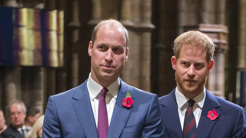 Im Einsatz für die Krone: Prinz William und Prinz Harry