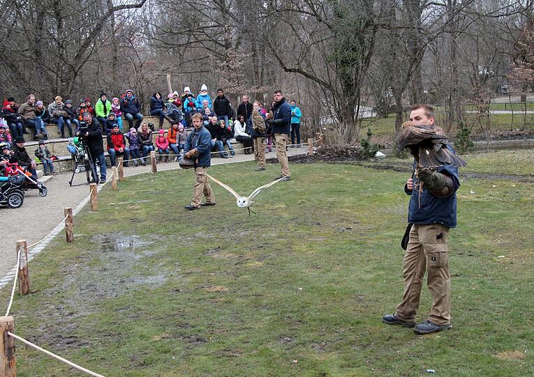 Die Greifvogel-Show im Tierpark hat jetzt eine richtige Zuschauertribüne bekommen. Am Dienstag wurde sie eröffnet.
