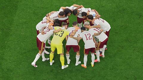 Spanien hat sich den Weg ins Finale als Team erarbeitet.