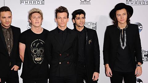 Niall Horan, Louis Tomlinson, Zayn Malik und Harry Styles machen 2026 mit ihren Soloprojekten wieder von sich reden.
