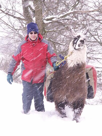 Lama-Trekking in der Rhön - auch im Winter ein Spaß.