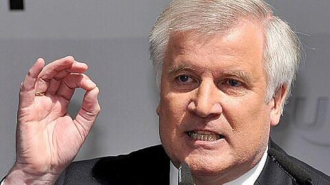 Seehofer: Steuersenkungen vielleicht vor 2011