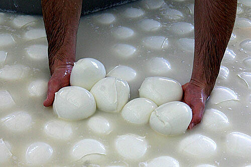So soll er aussehen: Schneeweißer Mozzarella