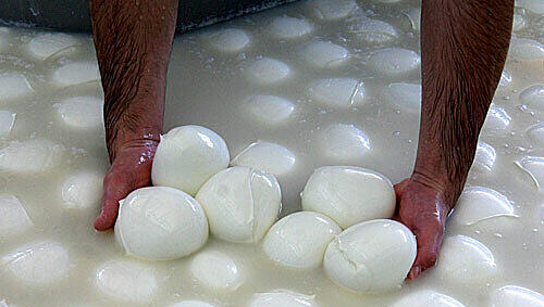 So soll er aussehen: Schneeweißer Mozzarella So soll er aussehen: Schneeweißer Mozzarella
