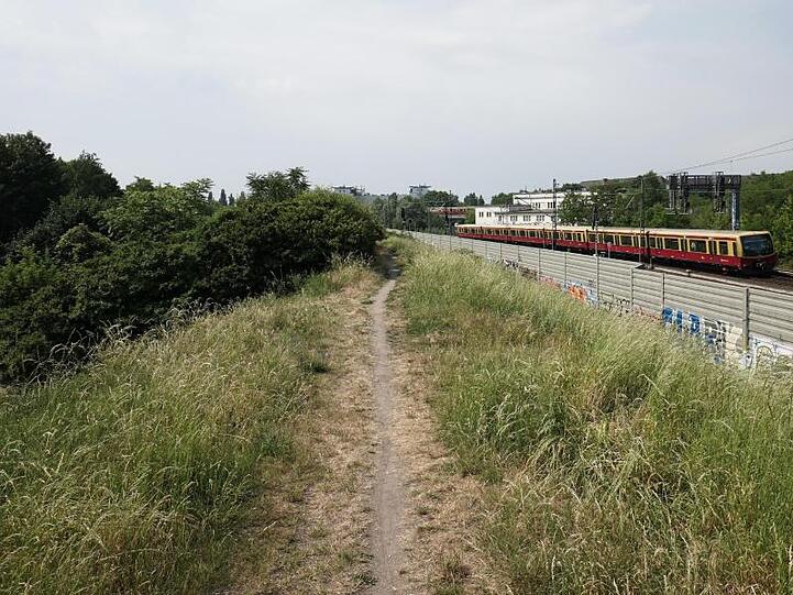 An einen Bahndamm in Pankow wurde die ermordete Frau aufgefunden.