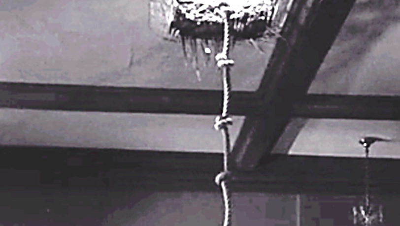 "Rififi" ist ein in Schwarzweiß gedrehter französischer Kriminalfilm aus dem Jahr 1955. Der Einbruch in die Bank in Piflas ähnelt der Vorgehensweise der Filmbande. "Rififi" ist ein in Schwarzweiß gedrehter französischer Kriminalfilm aus dem Jahr 1955. Der Einbruch in die Bank in Piflas ähnelt der Vorgehensweise der Filmbande.