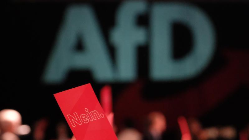 Delegierte halten Karten mit der Aufschrift "Nein" hoch. Foto: Sebastian Willnow Delegierte halten Karten mit der Aufschrift "Nein" hoch. Foto: Sebastian Willnow