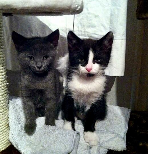 Lutzi & Seppi