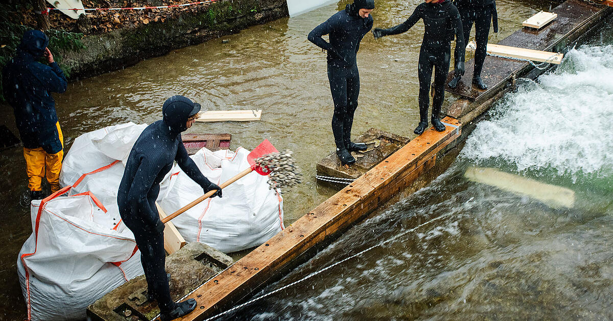 Ist-die-Eisbachwelle-noch-zu-retten-Jetzt-gibt-es-einen-ersten-Erfolg