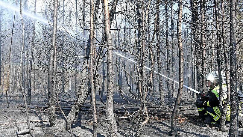 Ein Großaufgebot der Feuerwehren aus Grasbrunn, Harthausen und Ottobrunn kämpfte gegen den Großbrand. Auch Landwirte beteiligten sich wieder mit Güllefässern.